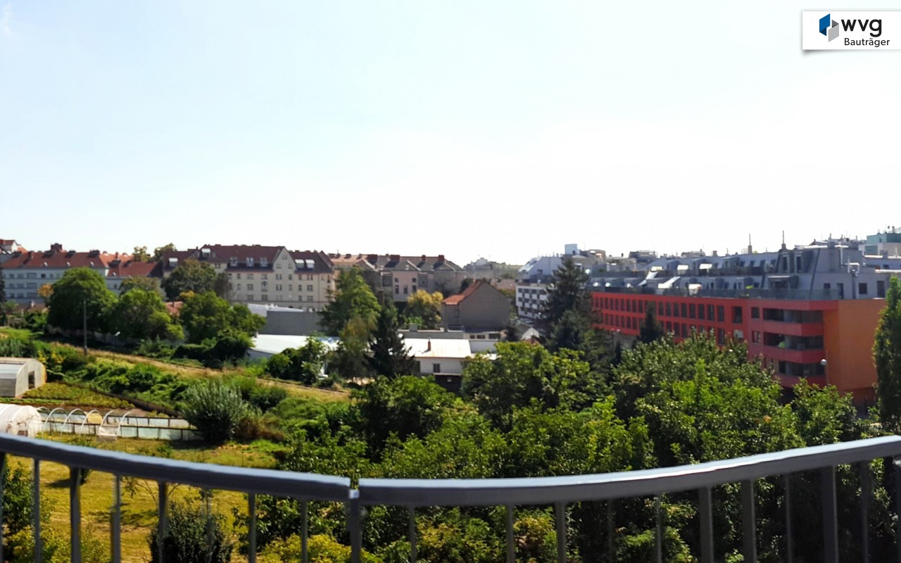 20160825_134517_bearb2