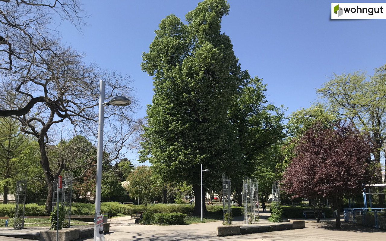 Hyblerpark_U3_nahe Hallergasse