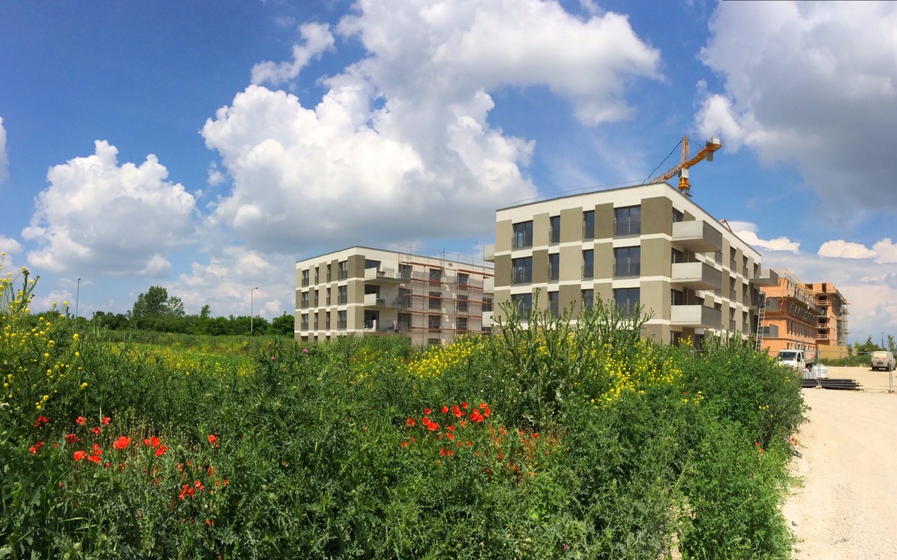 Ausmesstag in der Seestadt