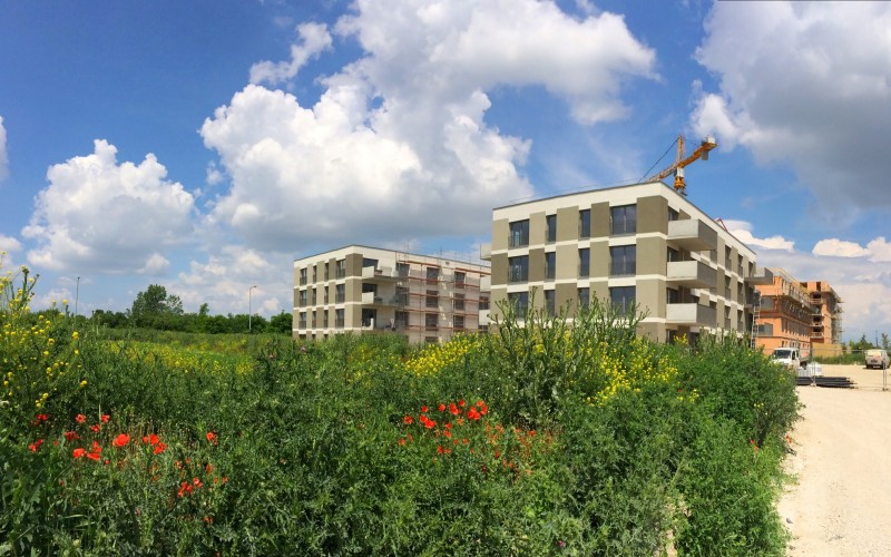 Ausmesstag in der Seestadt