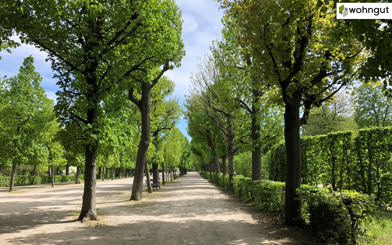 Schönbrunner Schlosspark