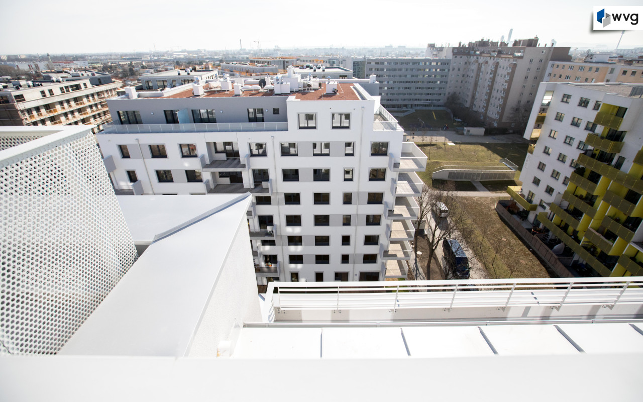 Bauteil Senekowitschgasse