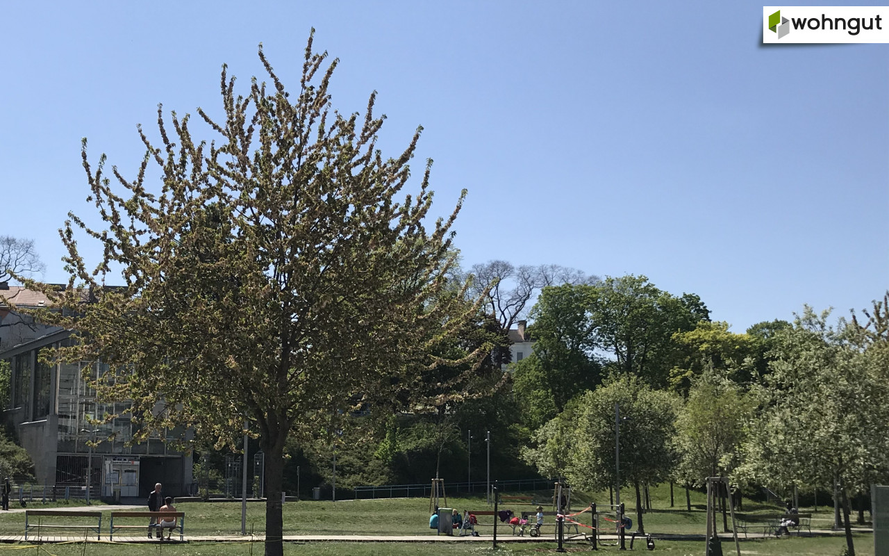 Parkanlage Bürgerspitalwiese